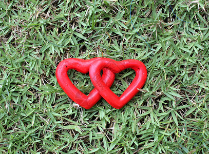两颗红心在草地上玫瑰红色白色场地宏观绿色背景图片