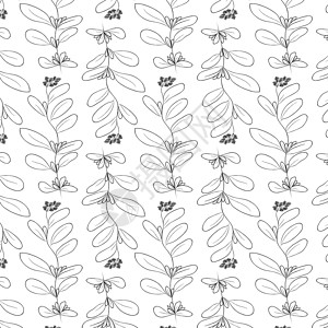 手工画出黑色和白色的精细装饰性陈年树叶打印叶子铅笔国家花园荒野潮人墨水收藏边界背景图片