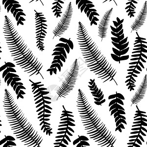 手工画出黑色和白色的精细装饰性陈年树叶植物民间墨水荒野插图邮票国家涂鸦潮人铅笔背景图片