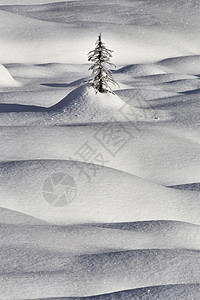 山雪莫格斯爬坡漂移高山大人物背景图片