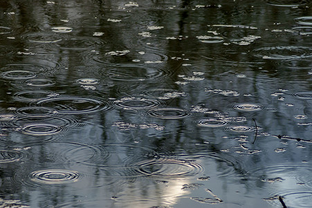 在小雨中公园的池塘背景图片