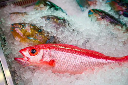 粉色鱼潮湿市场上的新鲜鱼粉色眼睛热带蓝色红色冰镇寿司海鲜鱼片背景