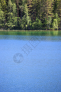 瑞典沙发湖海岸天空森林蓝色松树背景图片
