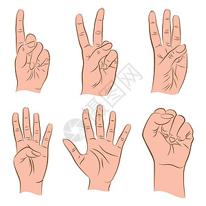 1手势使用手指设计概念矢量计数 1 2 3 4 5 0插画