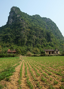 广平波泽农业的高清图片