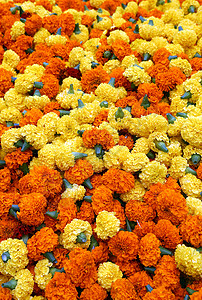 供在加尔各答花市出售的花卉和园地精神小贩场景寺庙奉献兰花街道佛教徒旅行紫色背景图片