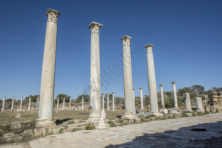 法马古斯塔塞浦路斯的Salamis古罗马遗址考古柱子岩石法令剧院大理石废墟花朵历史栅栏背景