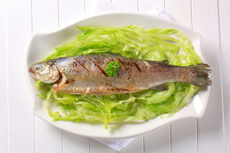 Grilled 鳟鱼营养沙拉盘子美食高架白色食物库存背景图片