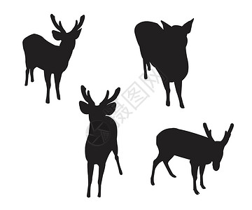 鹿影白色背景上的鹿架设置硅影设计图片