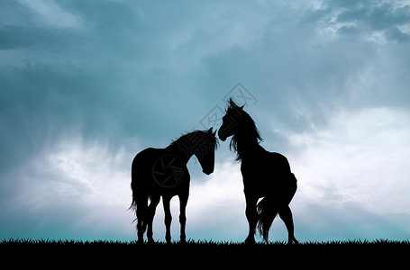 日落时几匹马的双轮钟背景图片