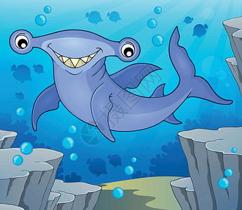 水下动物锤头鲨鱼主题图2插画