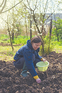 有机植物园里的妇女育种洋葱栽培生长农民季节农学家耕地生产幼苗工作直播背景图片