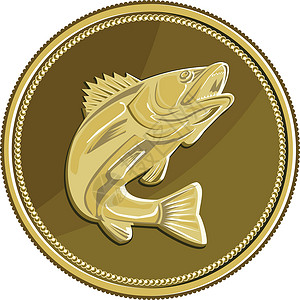黄金鲽鱼Barramundi 黄金硬币Retro插画