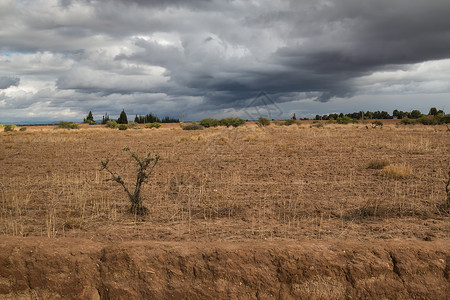 摩洛哥坚果树身处暴风雨中乡边的摩洛哥土壤农场旅行风暴天空坚果国家山脉环境农业背景