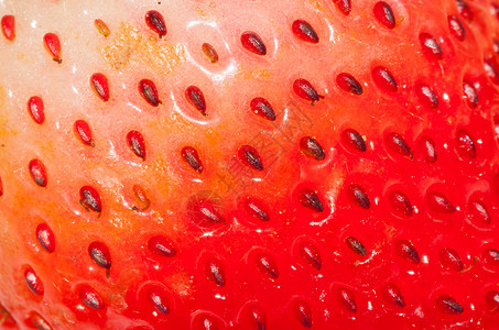 特写草莓纹理 抽象背景背景图片
