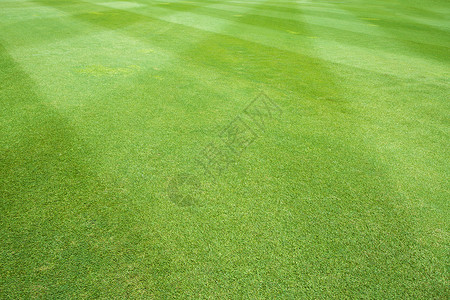 体育场和运动场橄榄球场水平绿色足球场条纹背景图片