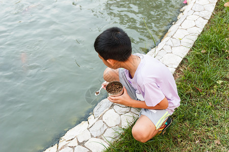 紫色鱼男孩喂鱼勺子衬衫食物池塘孩子生活乐趣童年花园闲暇背景