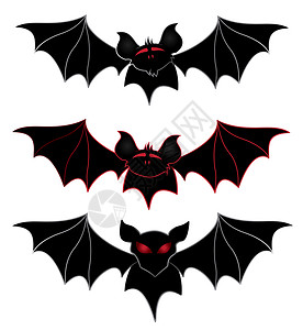 孤立的蝙蝠光周矢量说明插图洞穴翅膀黑色背景图片