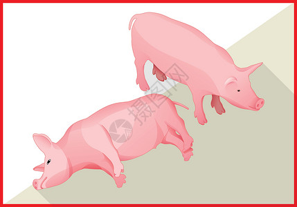 仔猪3d型猪基平板矢量3d插画
