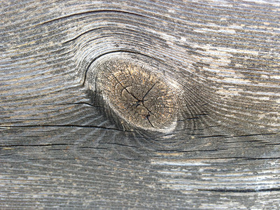 木制木材枝条灰色背景图片