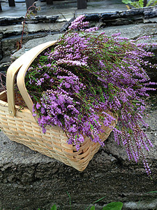 土 工紫色篮子背景图片