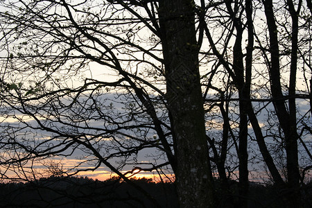 日落墙纸森林背景图片