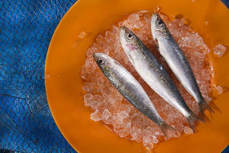 冰床上的新鲜鱼鳀鱼饮食营养食物产品钓鱼盐水背景图片