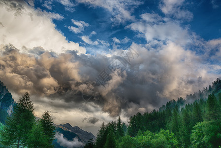 森林上云云多云的天空天气雷暴戏剧性气候变化树木背景图片