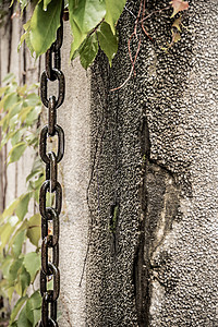 锁链和在墙上的叶子囚犯链接树叶力量背景图片
