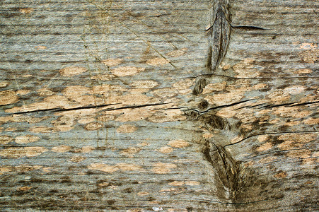 碎裂的木制背景风化木控制板行数仿古硬木材料松树木纹纹理自然纹背景图片