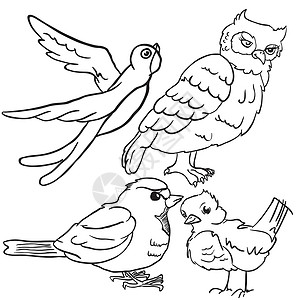 鸟类黑色智慧羽毛灰色白色动物插图民间翅膀卡通片背景图片