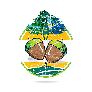 新鲜栗子胡桃树花栗子椰子新鲜美味网络植物叶子生活种子食物小吃网站开心果地面插画