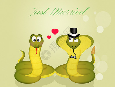 蛇的婚礼皮肤摇铃庆典爬虫眼镜蛇夫妻明信片动物脊椎动物插图背景图片