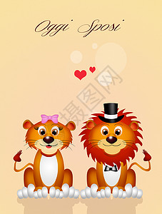 狮子的婚约背景图片