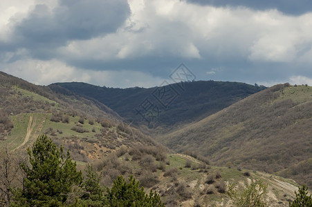 春天的巴尔干山天空小路草地树木空地衬套森林松树花朵针叶树背景图片