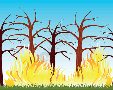 木柴中的火火焰红色黄色燃烧地形危险分支机构营火损害插图背景图片