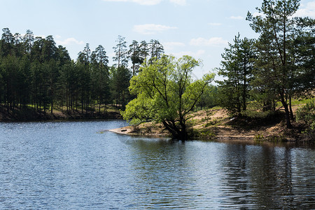 苏库卢库罗夫斯基森林和林木中的湖绿色顶峰天空太阳池塘假期反射石头蓝色荒野背景