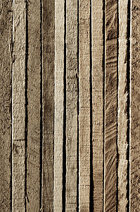 木板背景松树空白灰色垃圾沙色板材材料宏观木纹行数背景图片