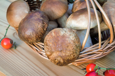 桌子表面篮子里的白色浓烈蘑菇食谱静物浆果森林闲暇产品柳条娱乐食物零食背景图片