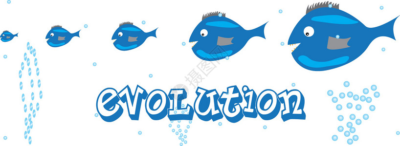 鱼类进化背景图片