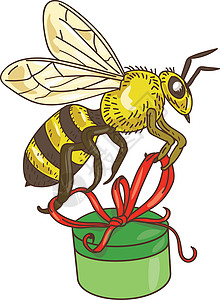 工蜂美蜂携带礼品盒绘画插画