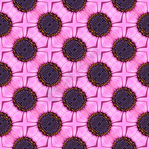 花际模式植物紫色墙纸花朵花瓣背景图片