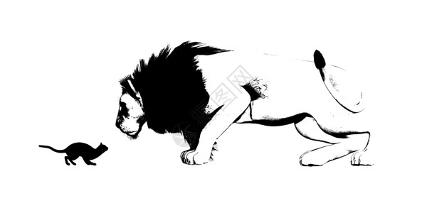 猫和狮子镜像背景图片
