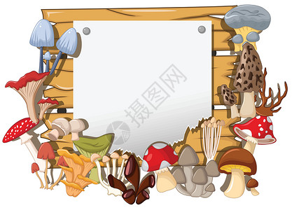 毒蝇伞不同种类的蘑菇 有木头和空白符号设计图片