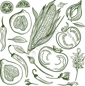 洋葱玉米矢量蔬菜套件设计图片