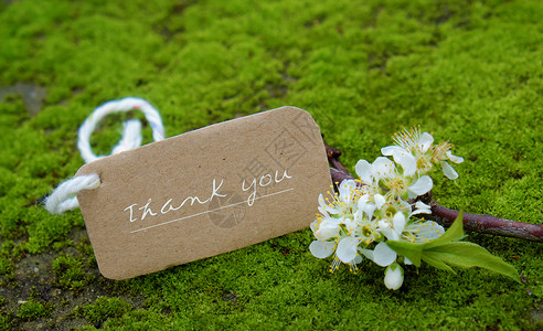 谢谢聆听感谢背景 白花和白花明信片花束白色植物群感激问候语苔藓礼物卡片绿色背景