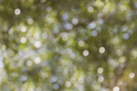 天然绿色和软蓝色 带白波克背景图片