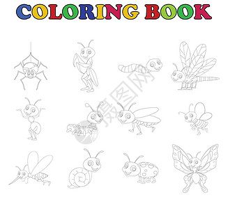 收藏昆虫的彩色书背景图片