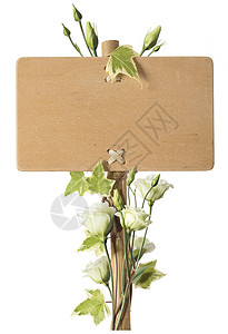带绿玫瑰花朵的空白木质标志背景图片