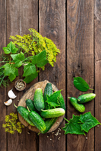 采摘黄瓜美食养分营养团体收成草药乡村烹饪植物食物高清图片